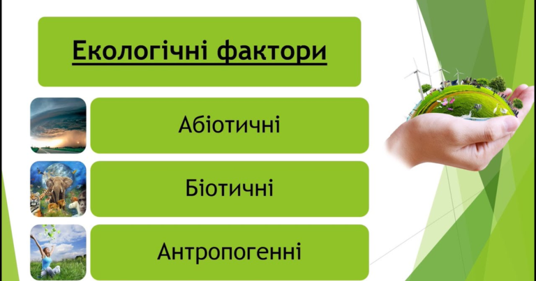 Екологічні фактори: класифікація та вплив на живі організми