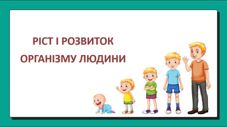 Розвиток організму це онтогенез: етапи, механізми та фактори