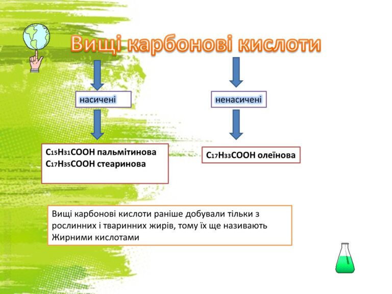 Вищі карбонові кислоти: будова, властивості та застосування