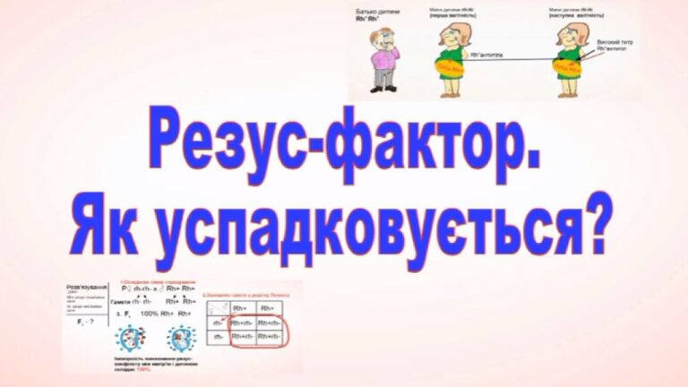 Як успадковується резус-фактор