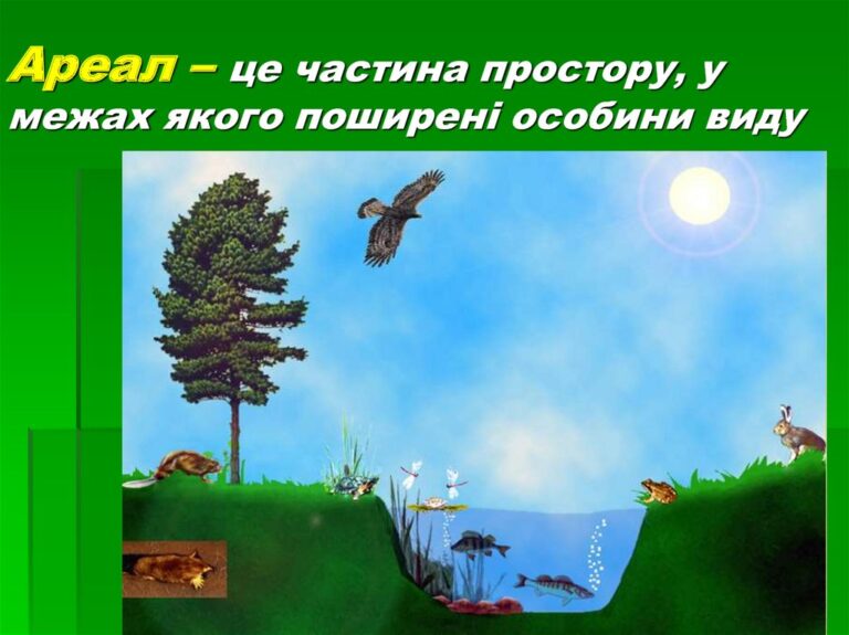 Ареал це динамічна територія життя видів на Землі