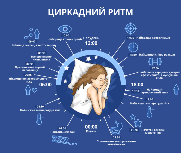Циркадні ритми: як біологічний годинник керує нашим життям