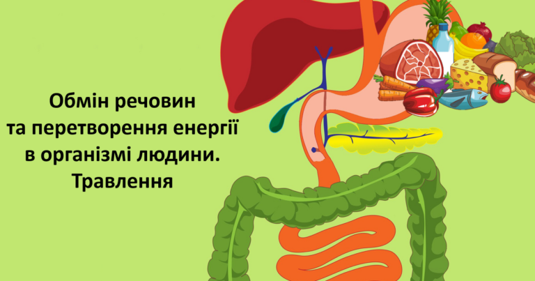 Обмін речовин і перетворення енергії в організмі