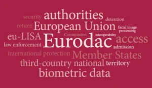 Хмарка слів Eurodac з термінами біометричні дані Європейський Союз правоохоронні органи