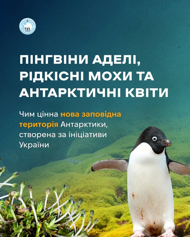 Пінгвін Аделі серед рідкісних мохів та антарктичних квітів у новій заповідній зоні України