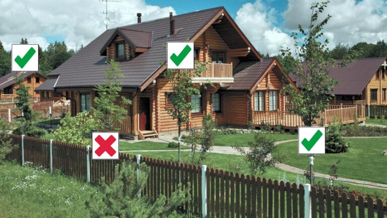Які дерева можна садити на подвір’ї