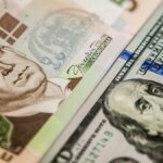 Банкноты доллара США и украинской гривны крупным планом