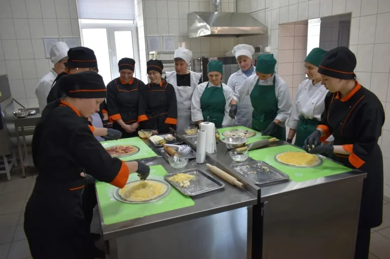 Коледжі Житомира: повний гід вибору закладу для успішного старту