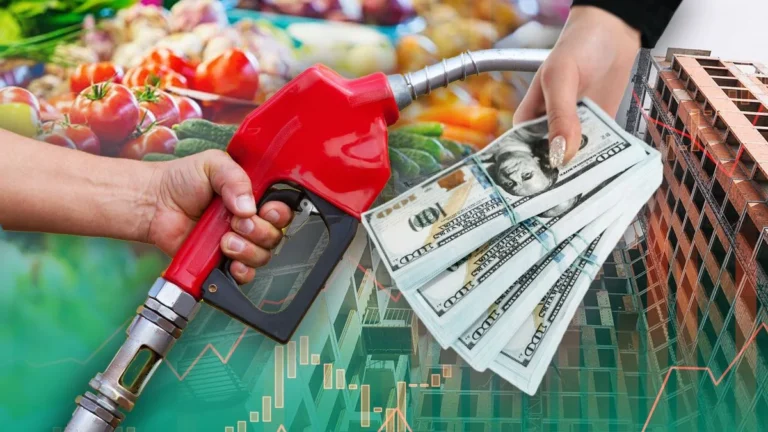 Курс валют 12 липня: скільки коштують 100 доларів сьогодні та як на ціну впливає паливо