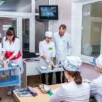 Медичний коледж Дніпро: традиції земської медицини та сучасна підготовка фахівців