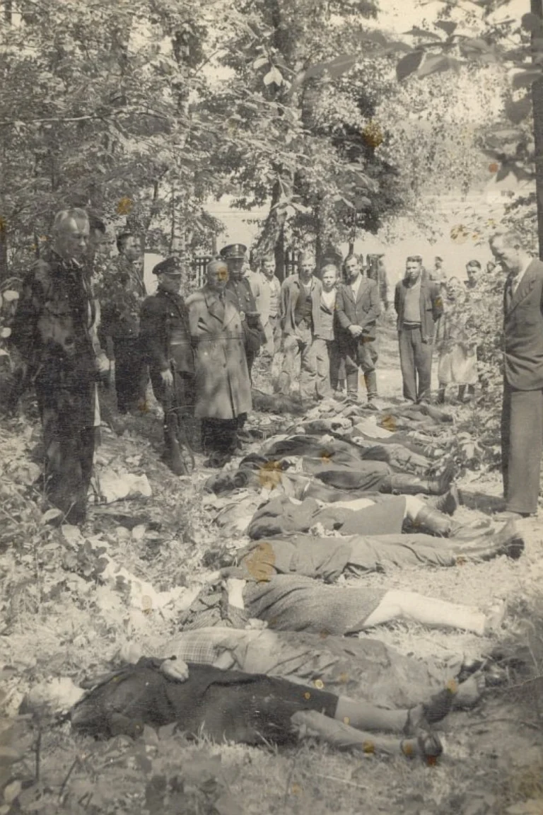 Що називають волинською трагедією: повна історія подій 1943–1944 років