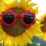 В Україну повертається спека до +30°: де настане літо