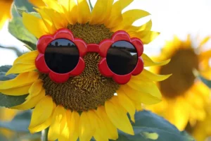 В Україну повертається спека до +30°: де настане літо